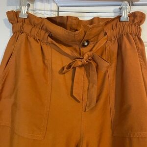 Madewell burnt orange pants